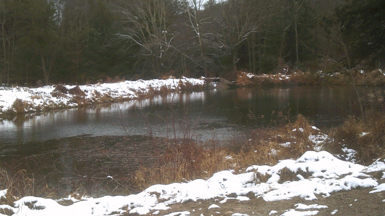 Photo of Others in Wapwallopen