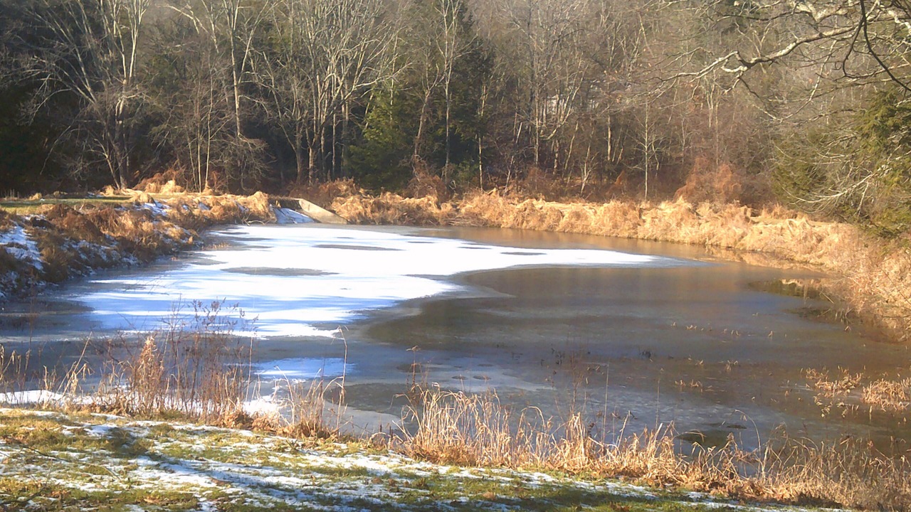 Photo of Others in Wapwallopen