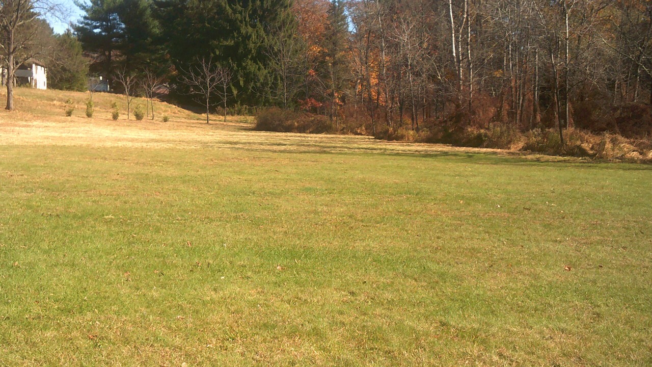 Photo of Outdoor in Wapwallopen