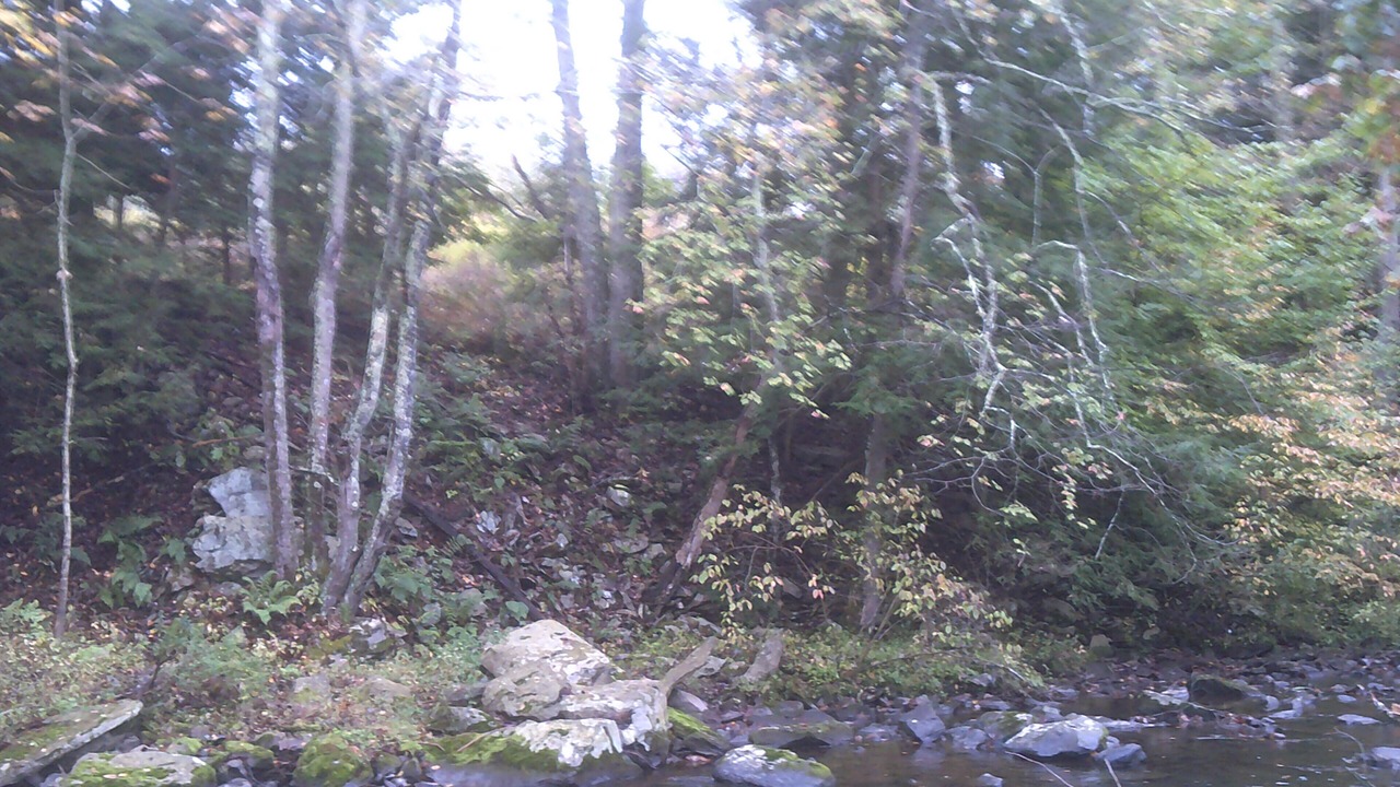 Photo of Outdoor in Wapwallopen