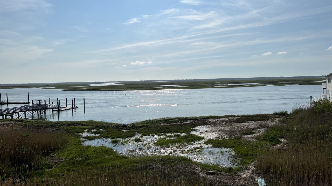 Photo of Others in Townsend's Inlet
