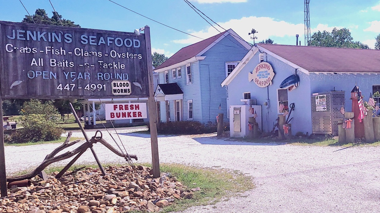 Photo of Outdoor in Fortescue