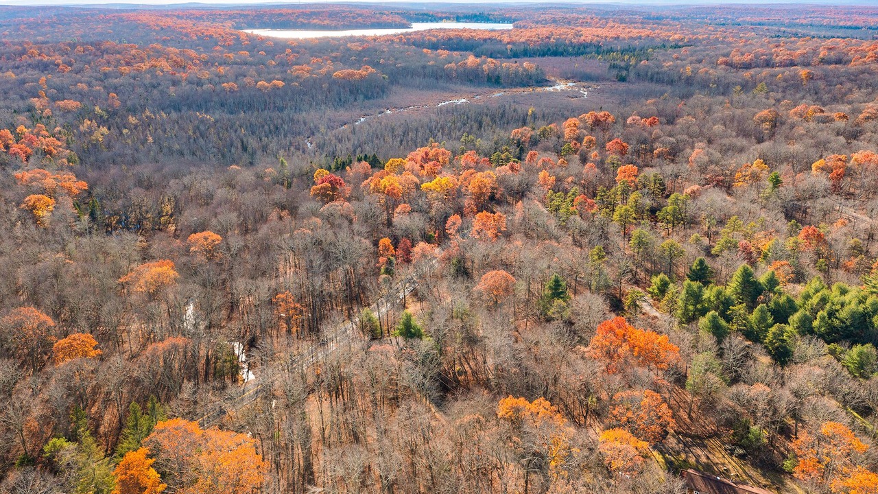 Photo of Outdoor in Dingmans Ferry