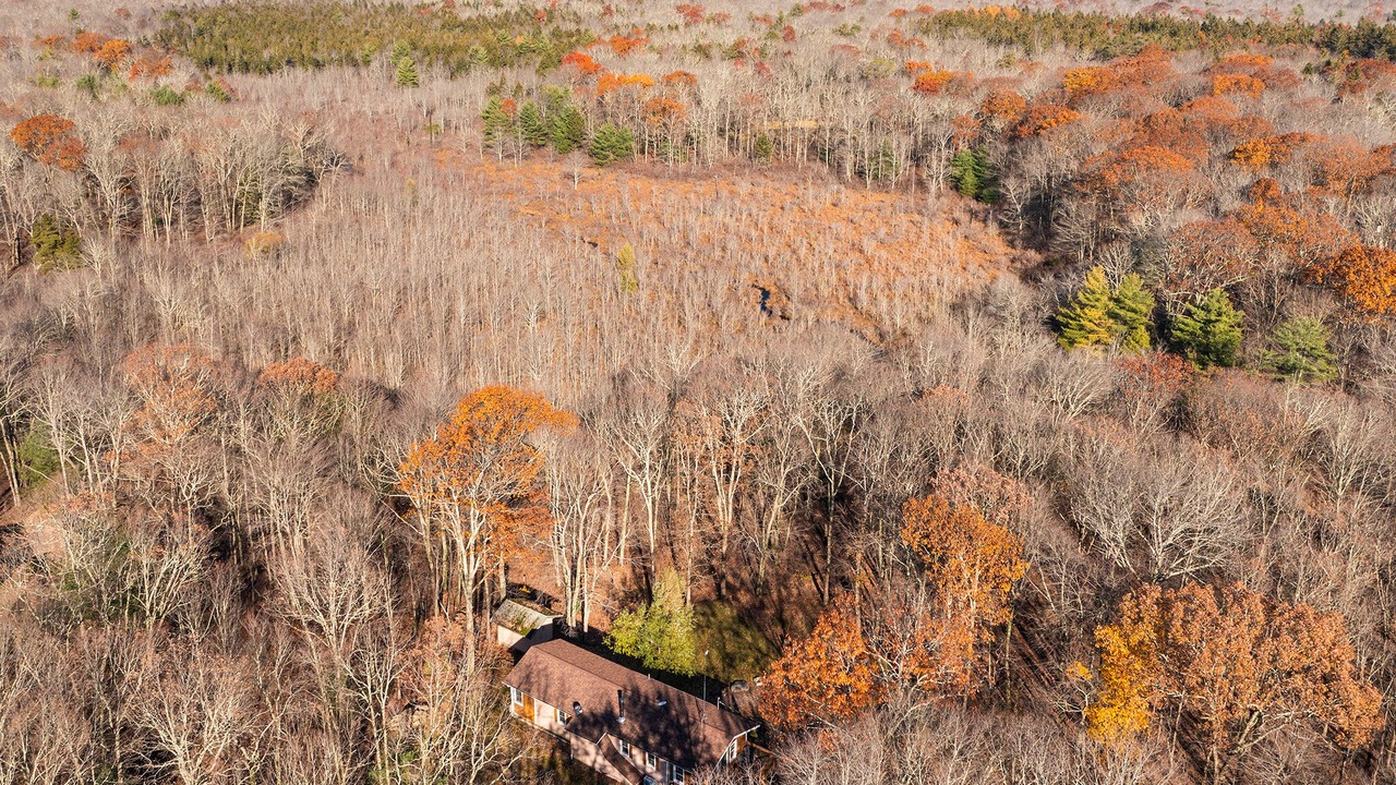 Photo of Outdoor in Dingmans Ferry