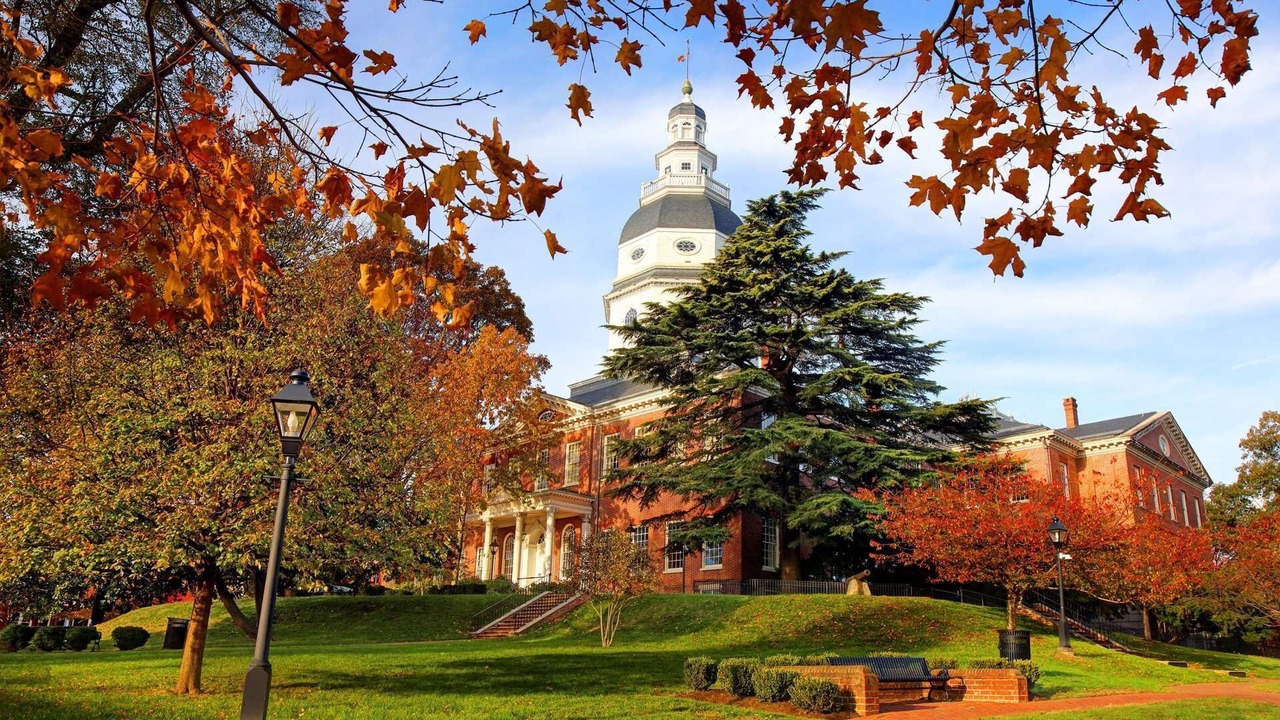 Photo of Outdoor in Severna Park