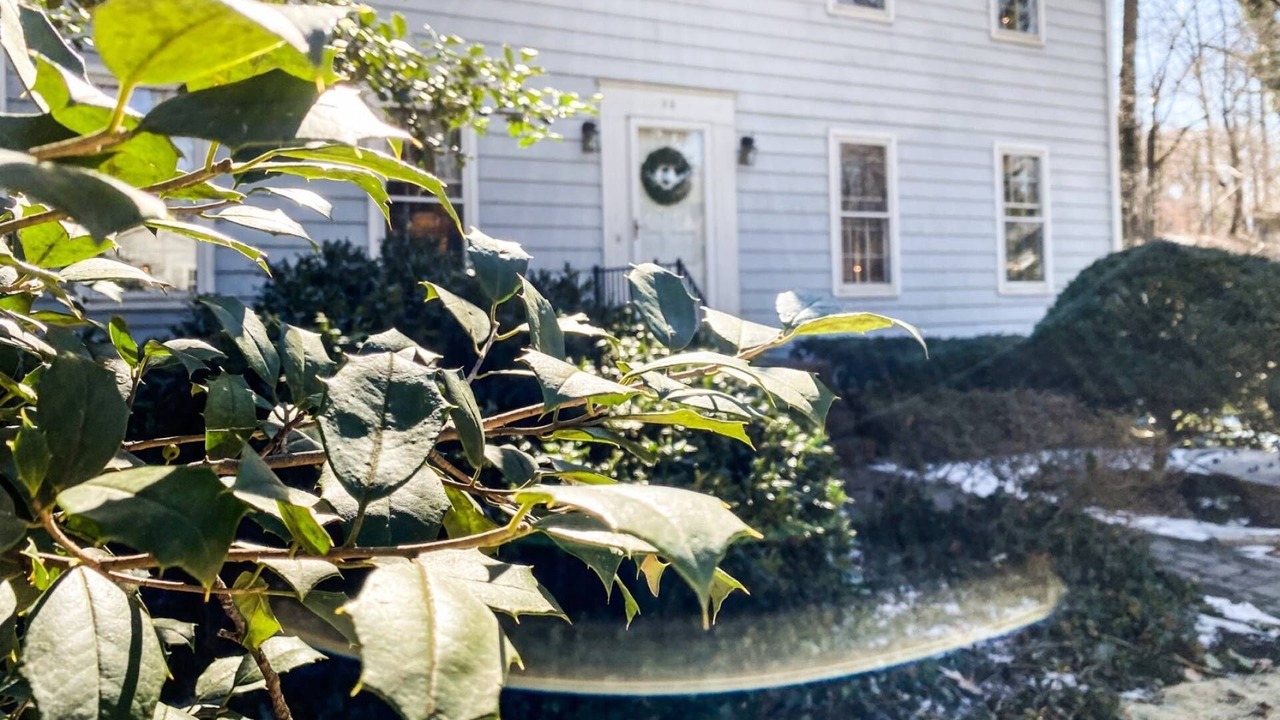 Photo of Outdoor in Severna Park