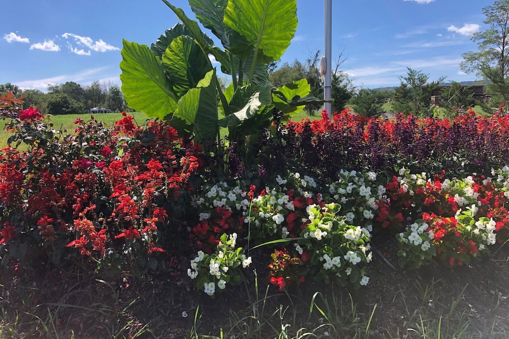 Photo of Outdoor in Grantville