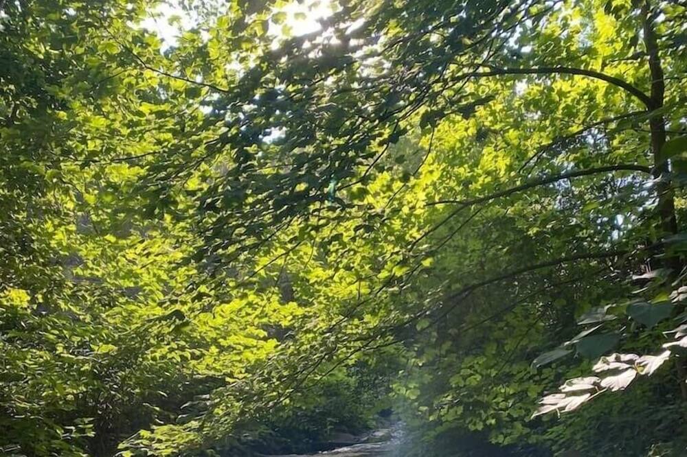 Photo of Others in Stewartsville