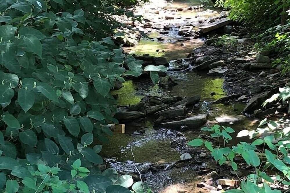 Photo of Others in Stewartsville