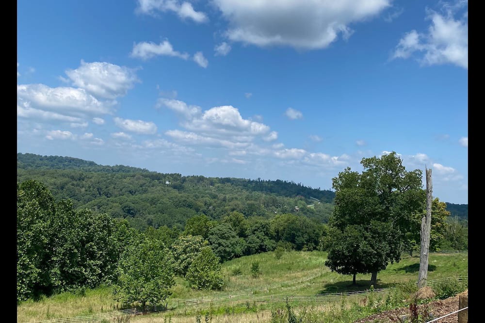 Photo of Others in Stewartsville