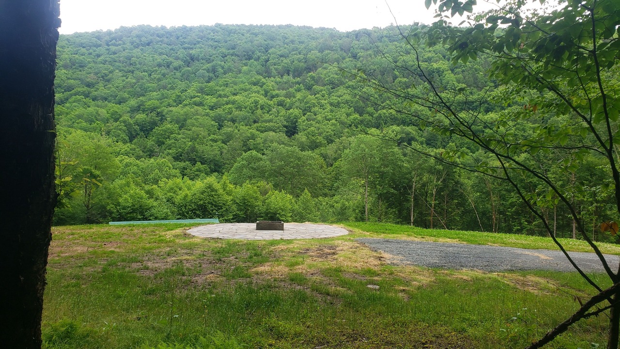 Photo of Outdoor in Long Eddy