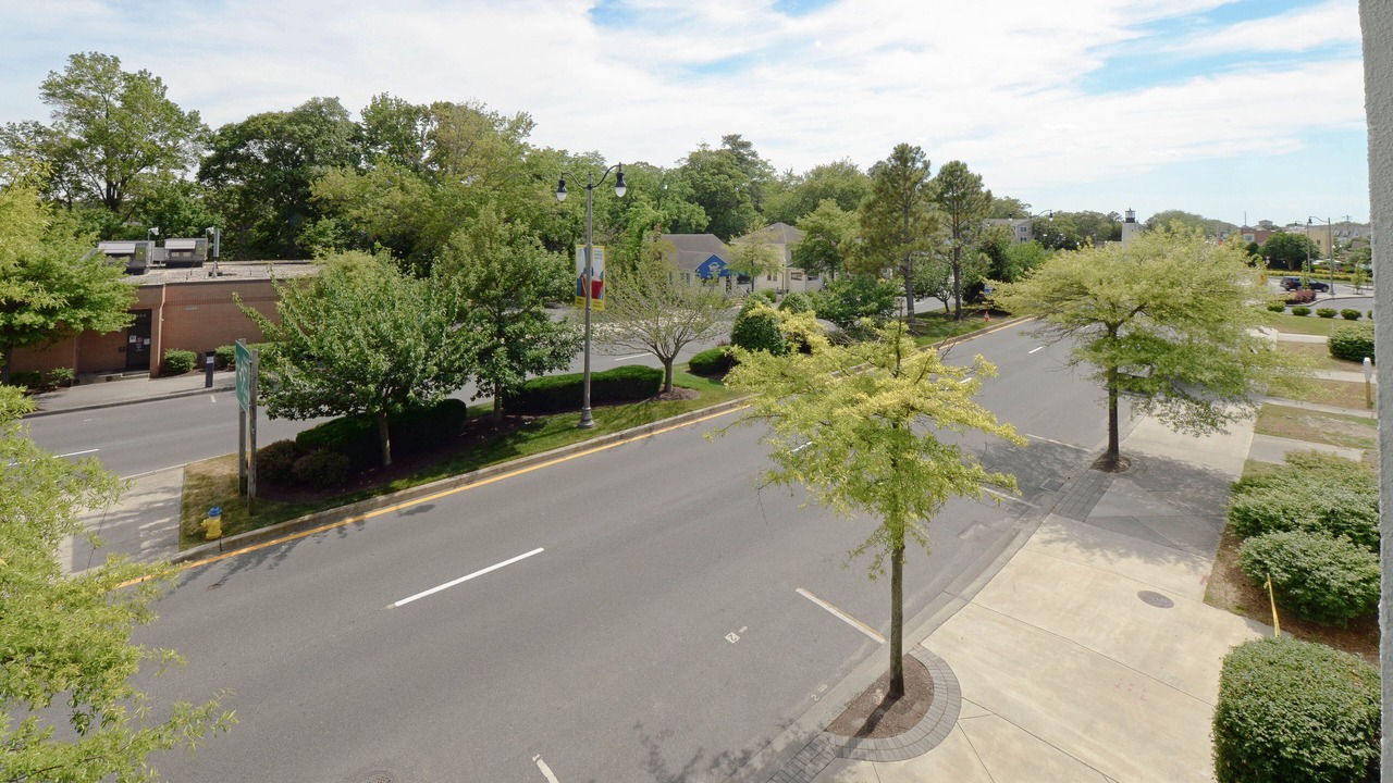 Photo of Outdoor in The Pines