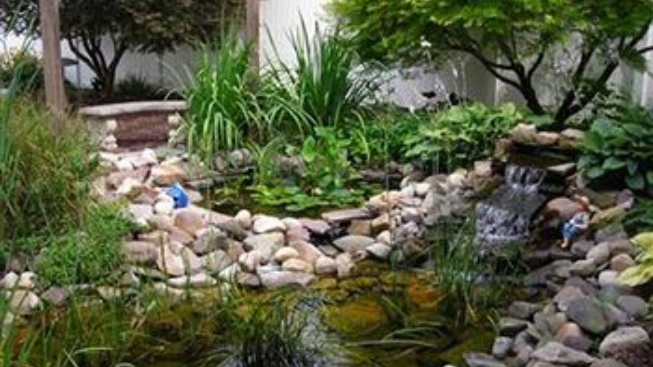 Photo of Outdoor in Centre Hall