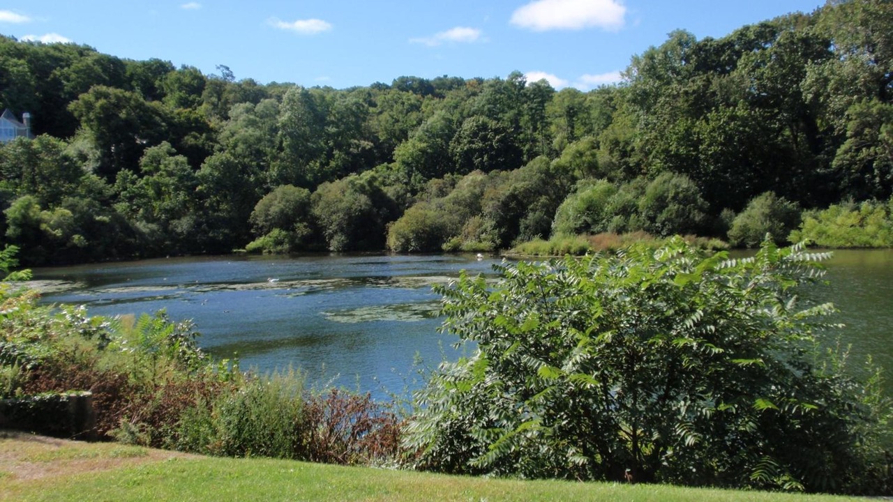 Photo of Outdoor in Centerport