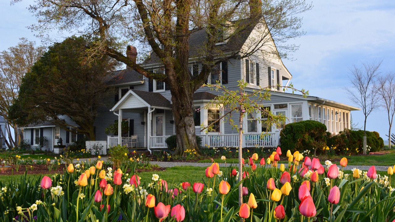 Photo of Outdoor in Tilghman