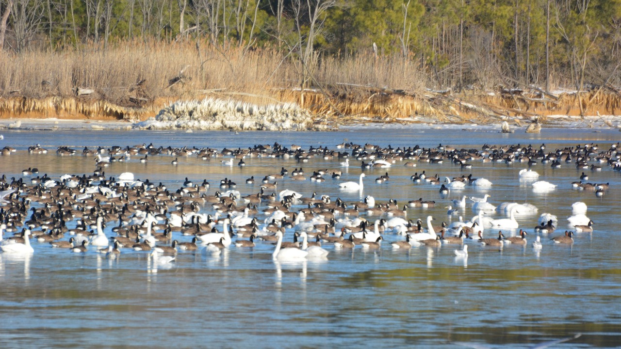 Photo of Others in Tilghman