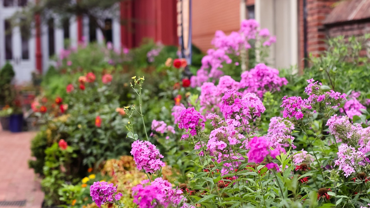 Photo of Outdoor in Downtown Baltimore