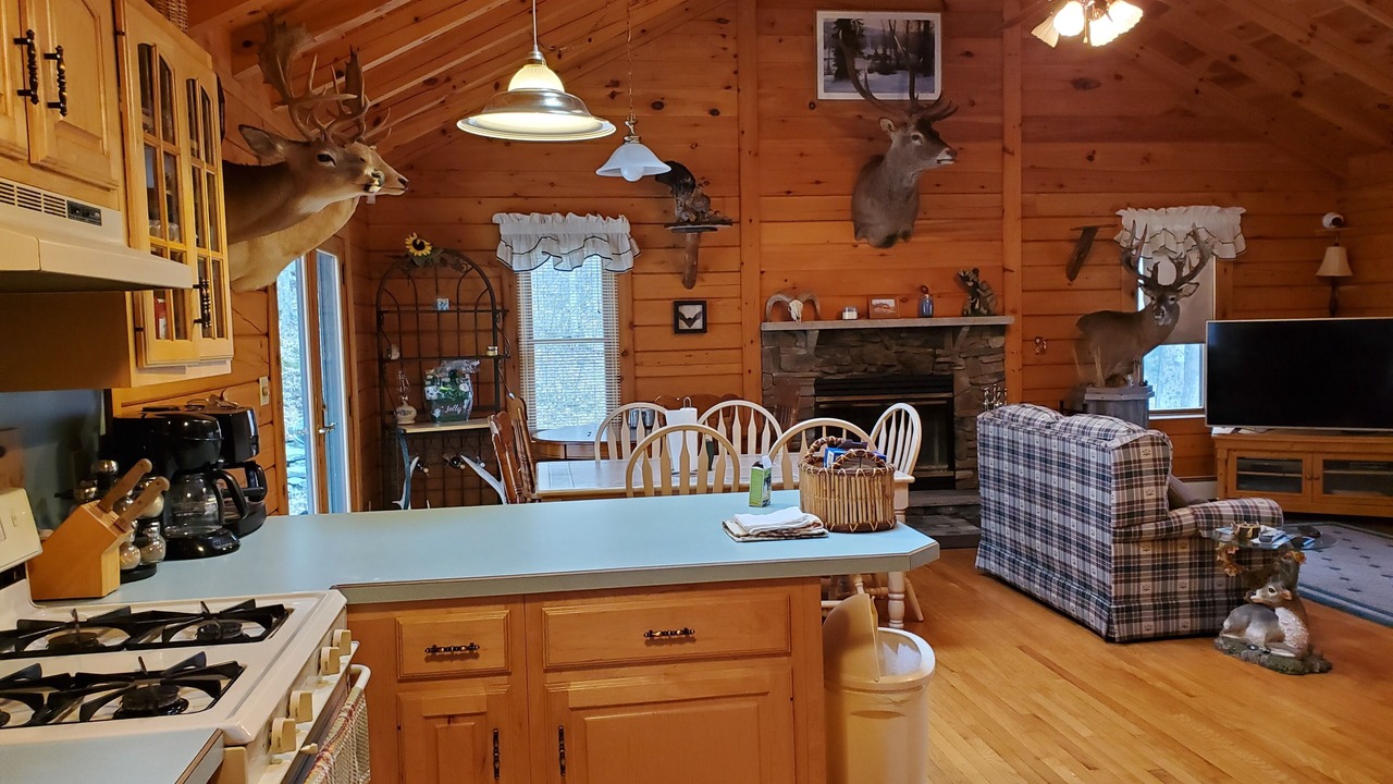 Photo of Kitchen in Equinunk