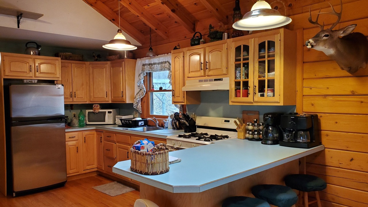 Photo of Kitchen in Equinunk