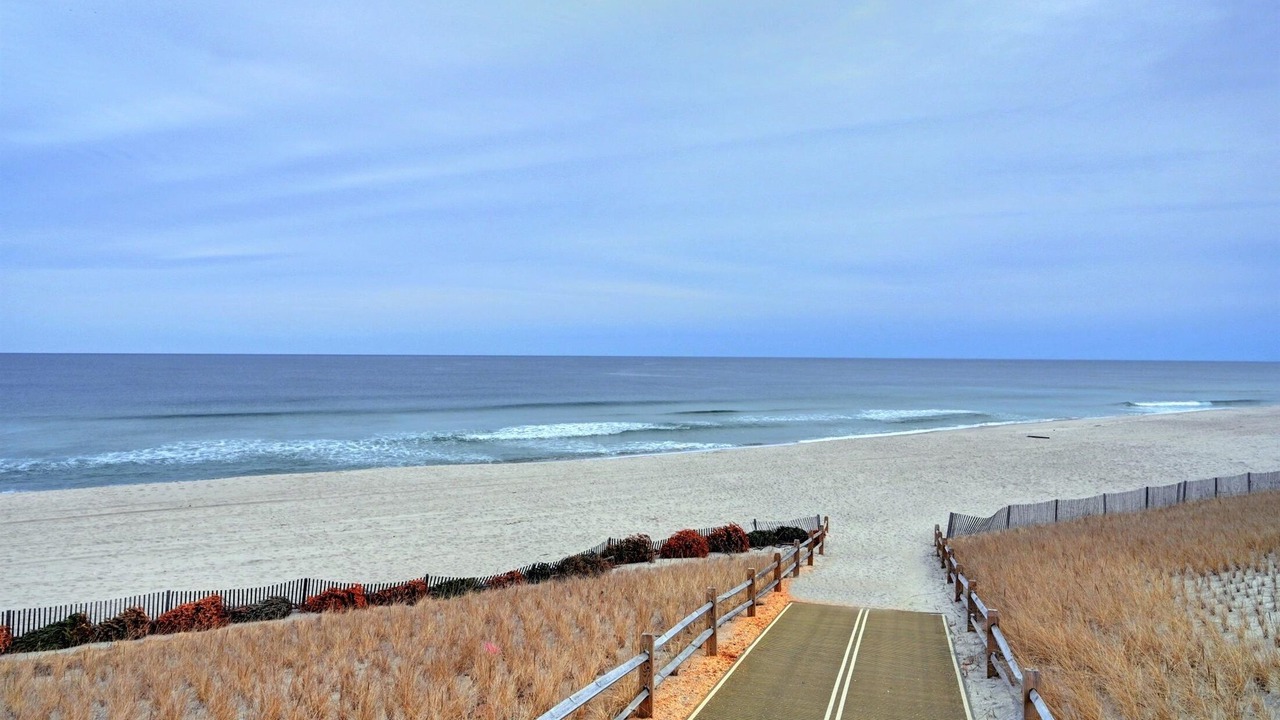 Photo of Others in Normandy Beach