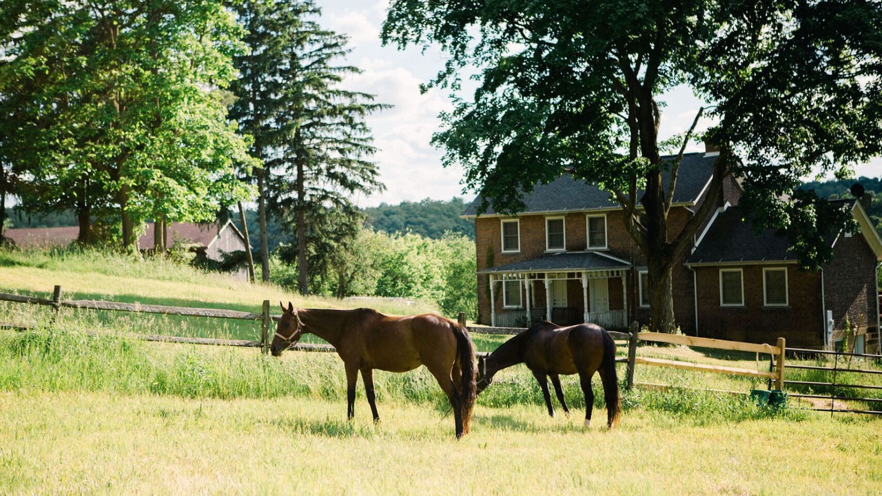 Photo of Outdoor in Burgettstown