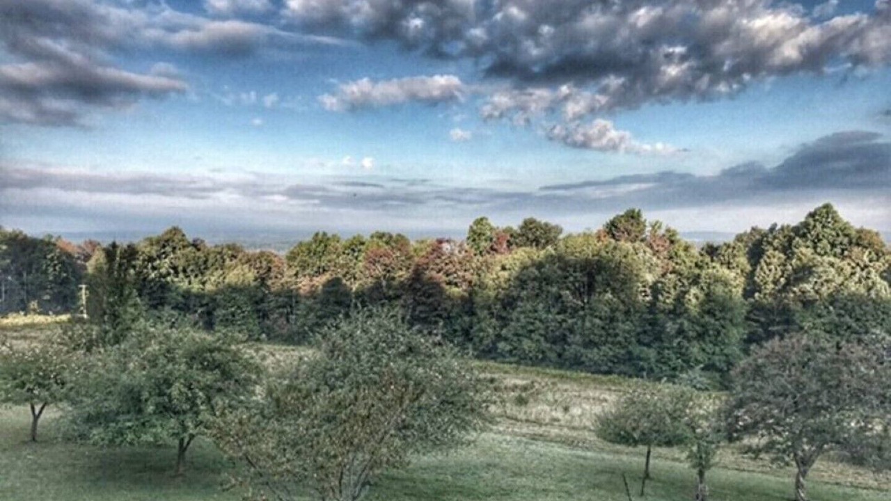 Photo of Outdoor in Mabie