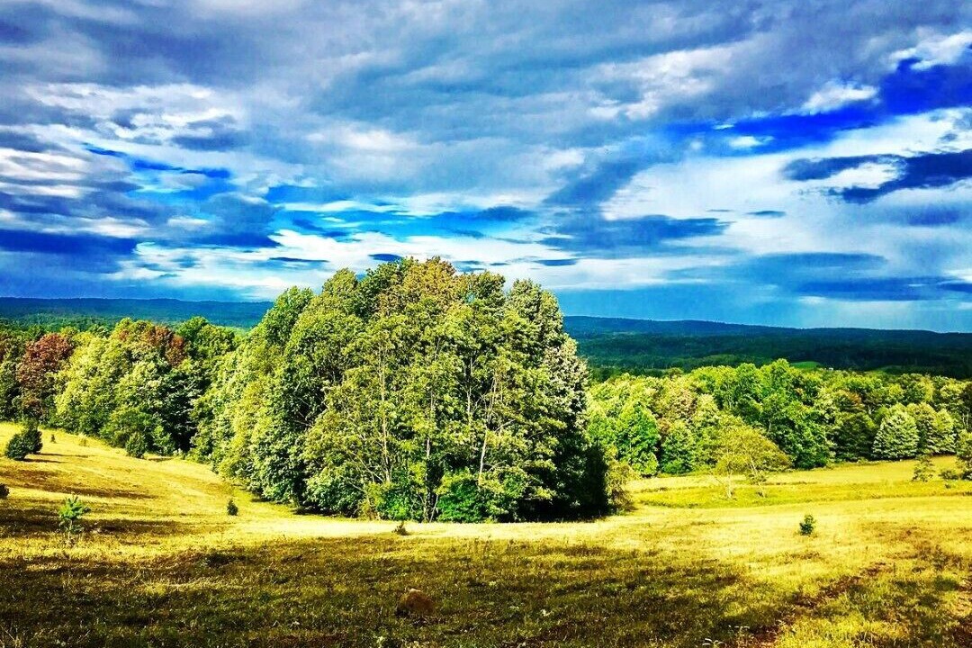 Photo of Others in Mabie