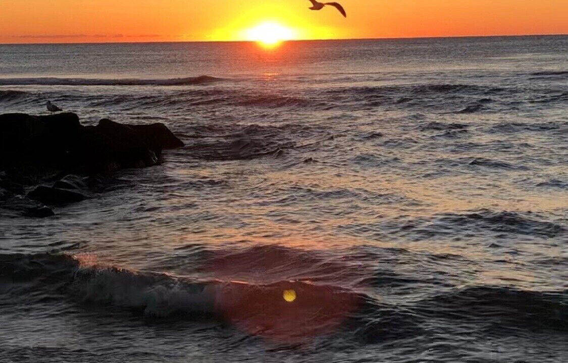 Photo of Others in South Beach Haven
