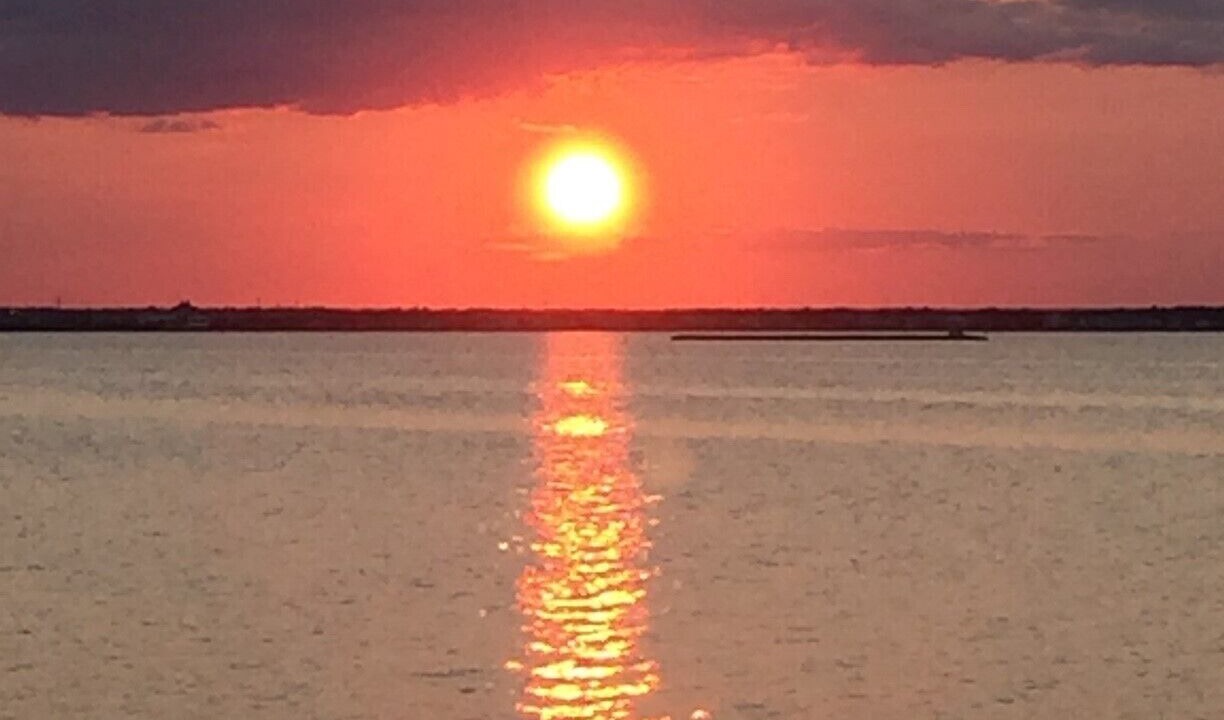 Photo of Others in South Beach Haven