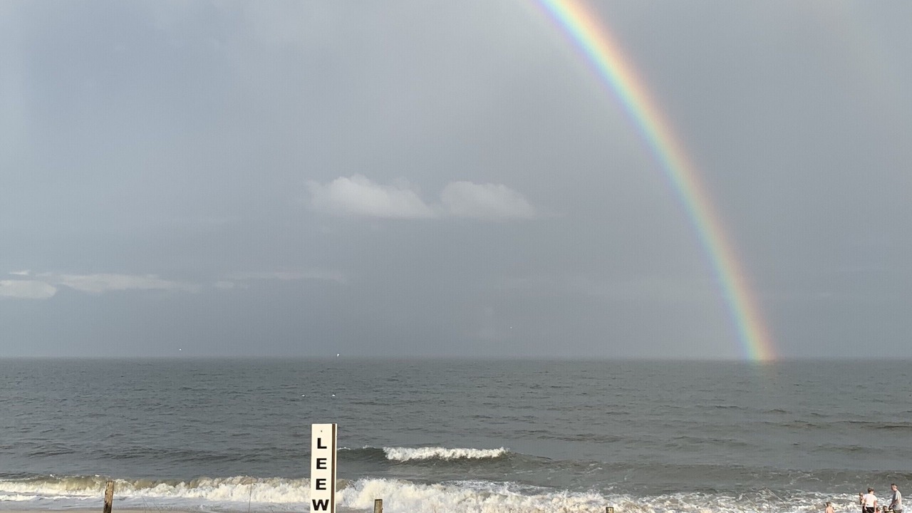 Photo of Others in South Beach Haven