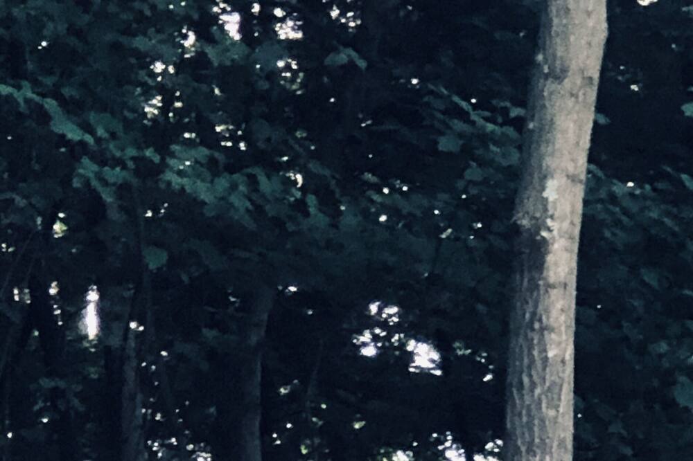 Photo of Others in Warsaw
