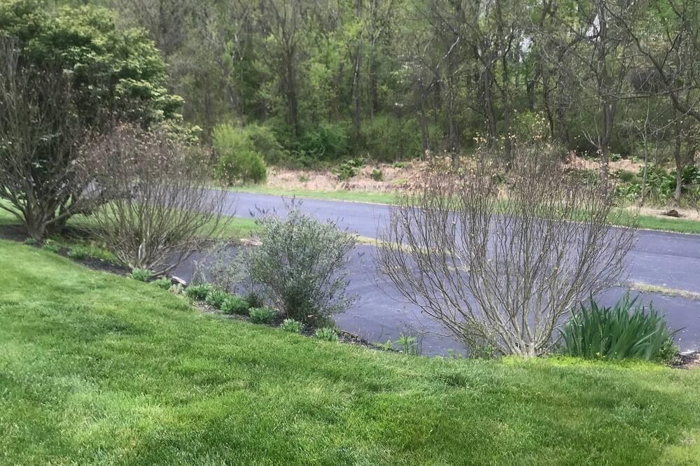 Photo of Outdoor in Parker Ford