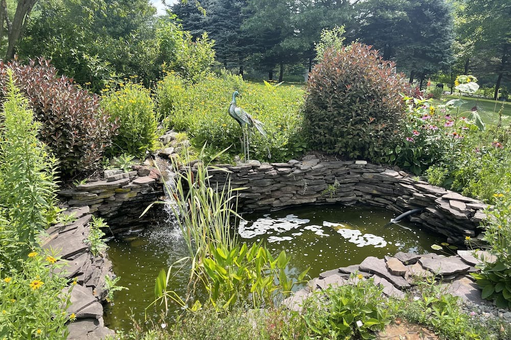 Photo of Outdoor in Parker Ford