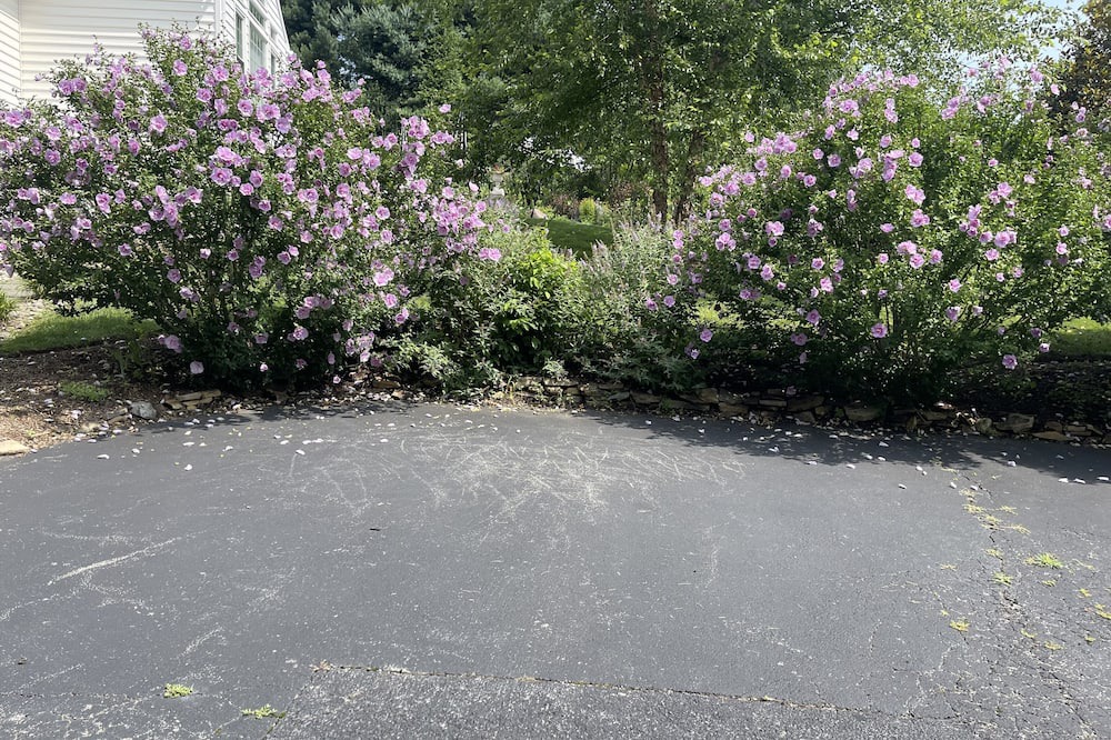 Photo of Outdoor in Parker Ford