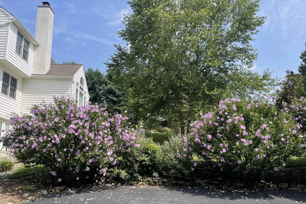 Photo of Outdoor in Parker Ford