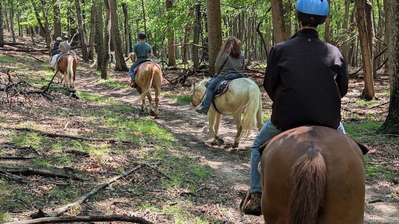 Photo of Others in Great Cacapon