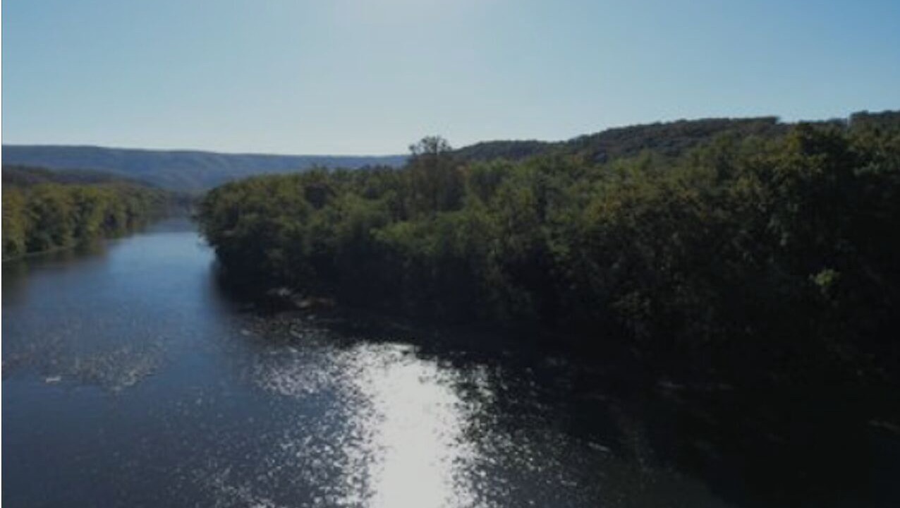 Photo of Others in Great Cacapon