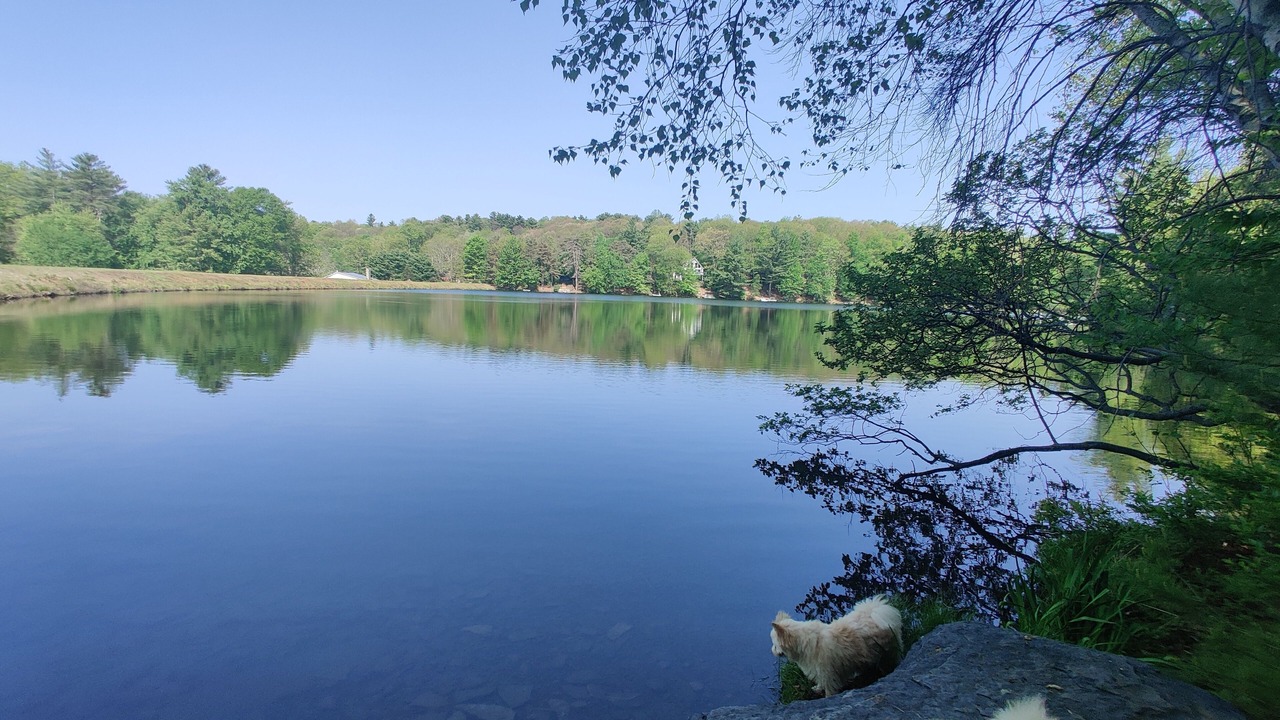 Photo of Others in Dingmans Ferry