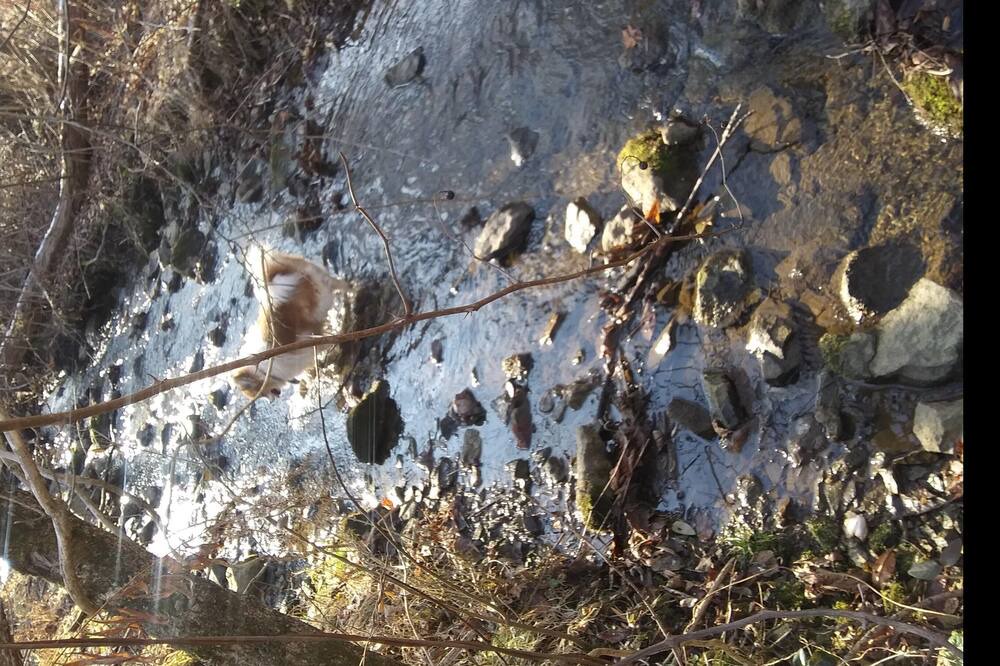 Photo of Others in Fairfield