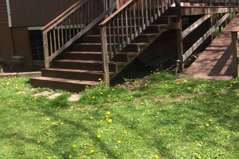 Photo of Others in Mill Hall