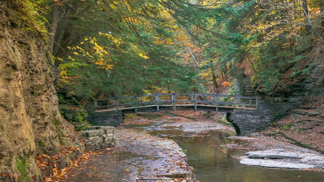 Photo of Others in Newfield