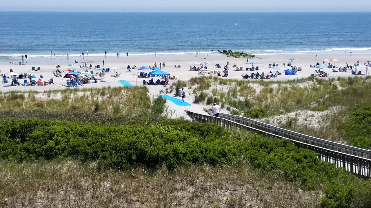 Photo of Others in Brigantine