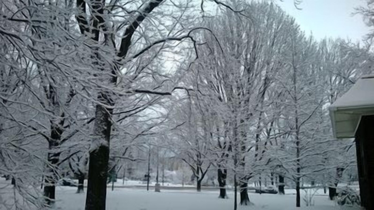 Photo of Outdoor in Detroit - Shoreway