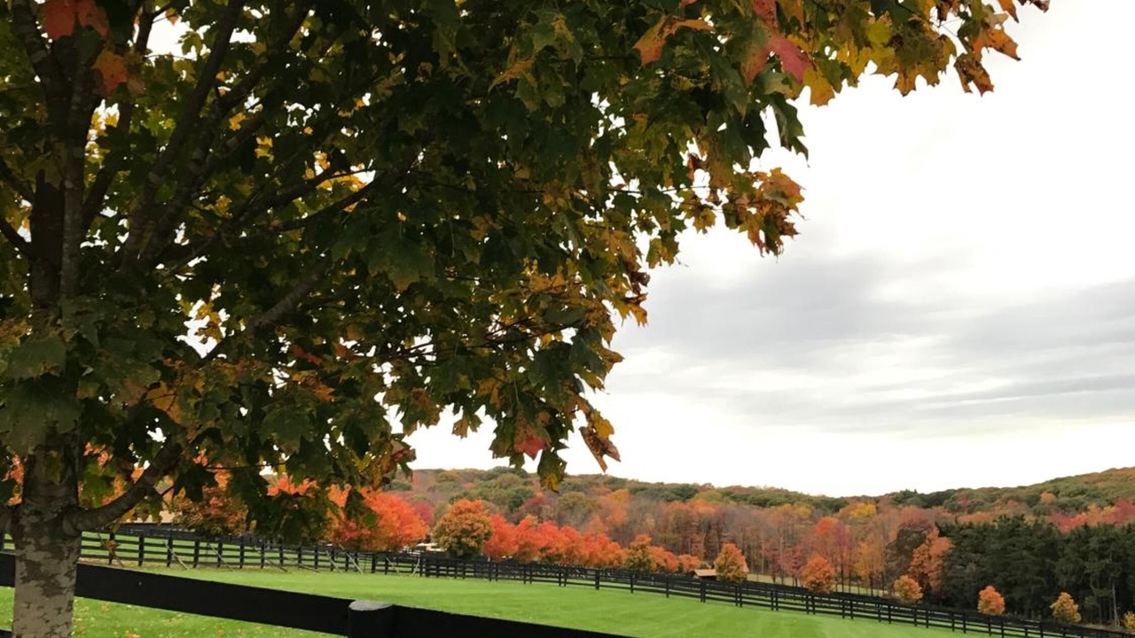 Photo of Outdoor in Pawling