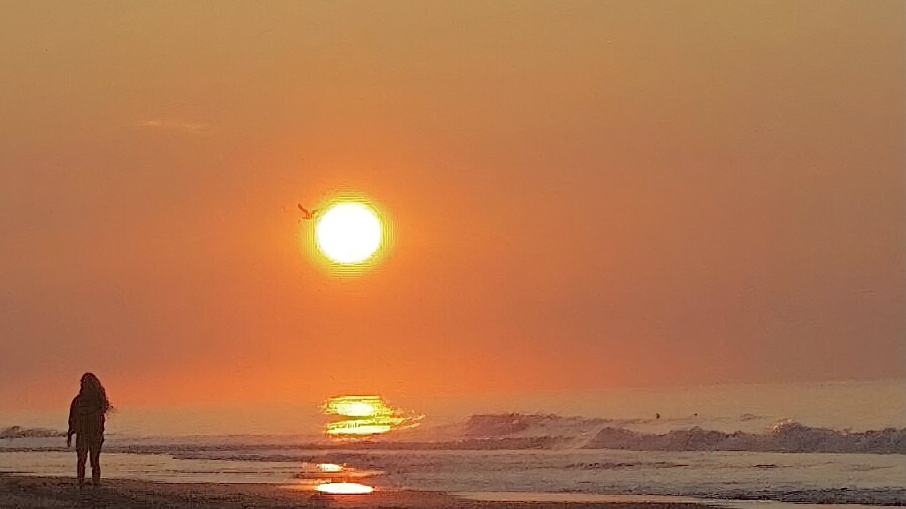 Photo of Others in Wildwood Crest
