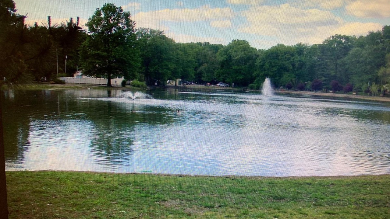 Photo of Outdoor in Elmwood Park