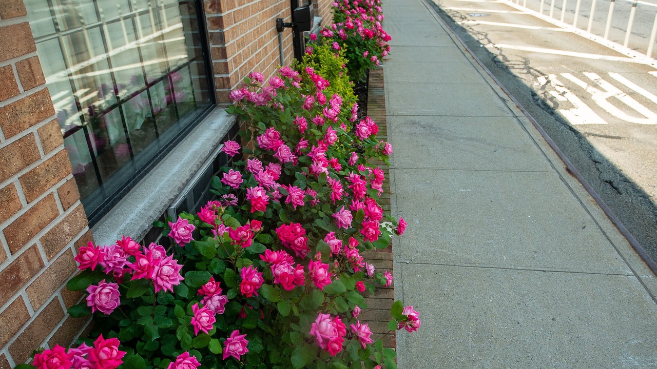 Photo of Outdoor in The Waterfront