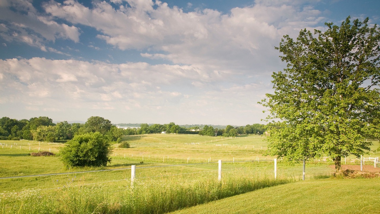 Photo of Outdoor in Hummelstown