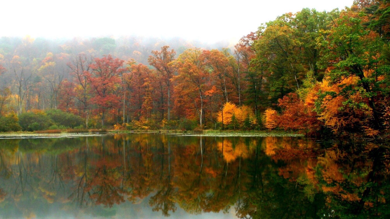 Photo of Outdoor in Bedford