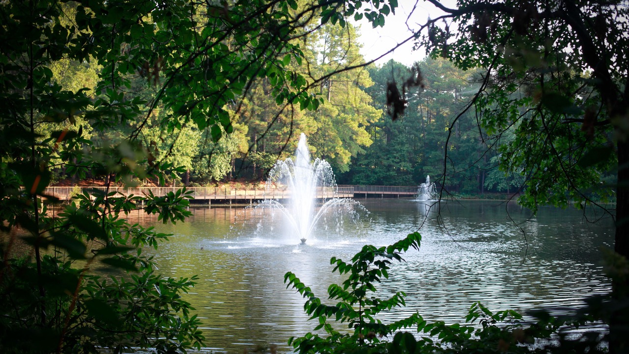 Photo of Outdoor in Cary